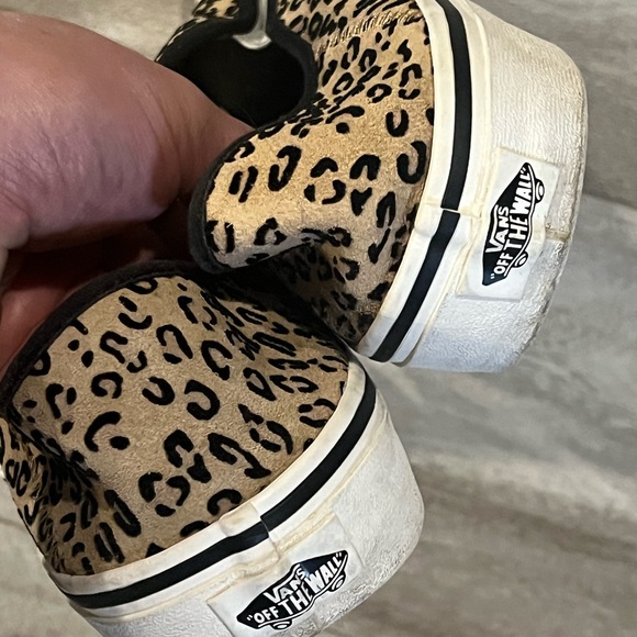 Cheetah Vans - Picture 4 of 5